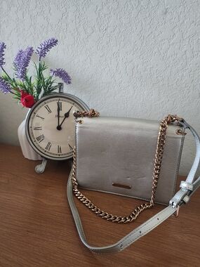 Charles & Keith Metallic Silver Crossbody with Gold Chain NWT